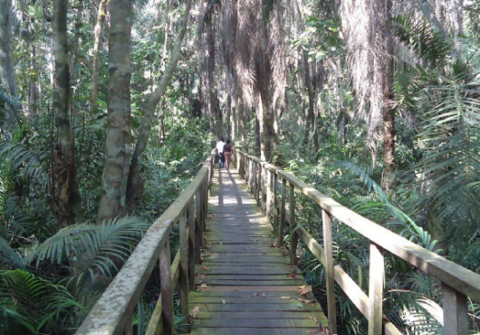 Gulf Fire Fighting Equipments FZE